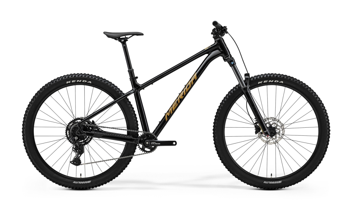 Main image of Merida Big Trail 300 - Black/Brown - MY25